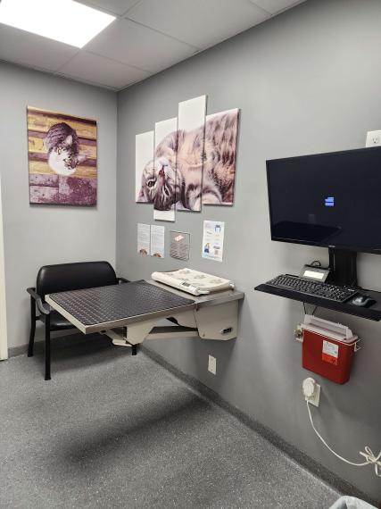 Office Tour - Exam Room 4