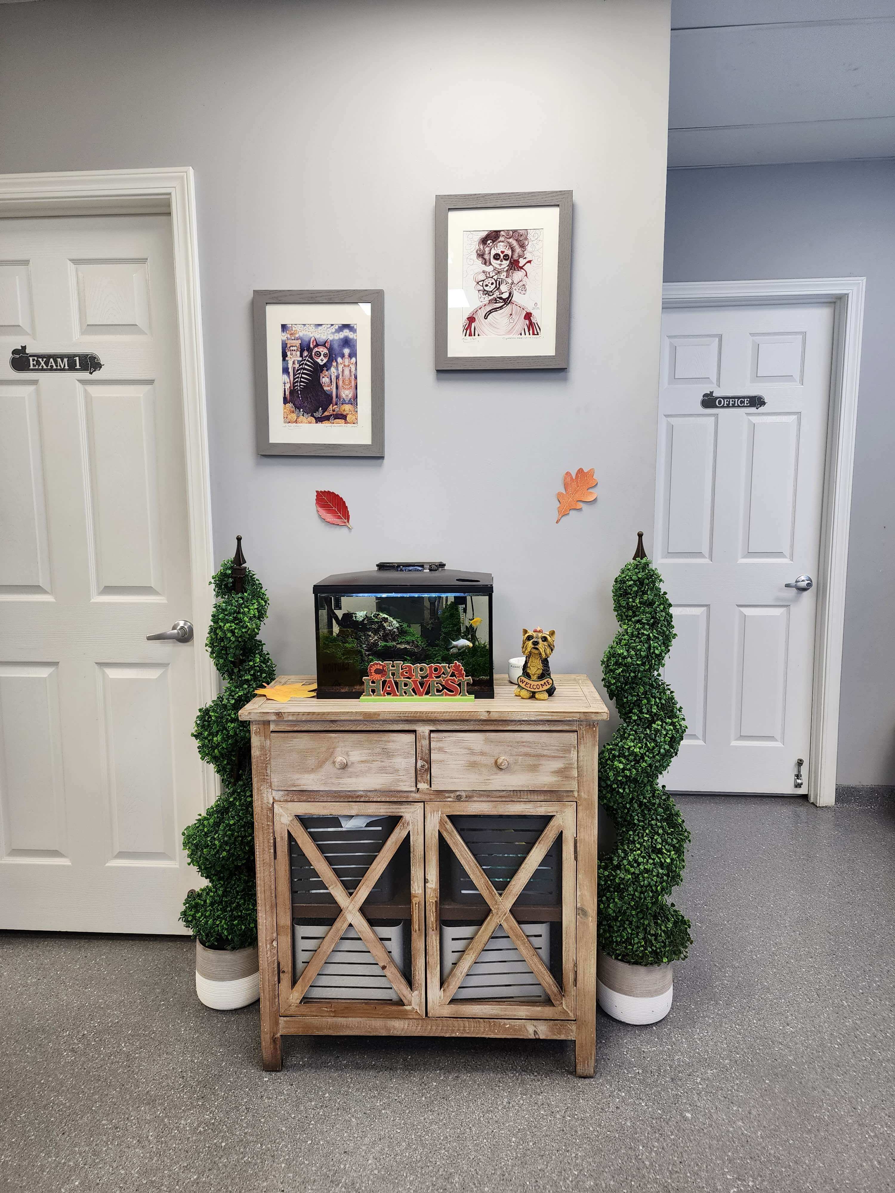 Office Tour - Lobby Fish Tank