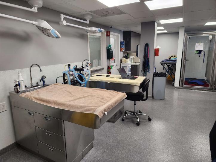 Treatment and Dental area